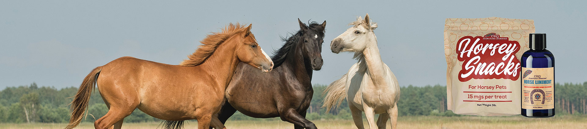 Horses