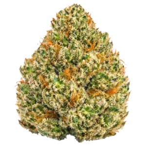 Obama Runtz Strain AKA Bama Runtz